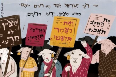 בילד קרעדיט: www.929.org.il