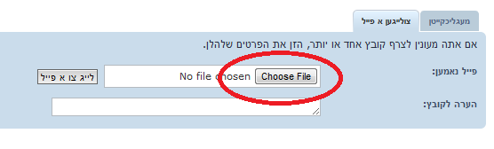 choose file.png