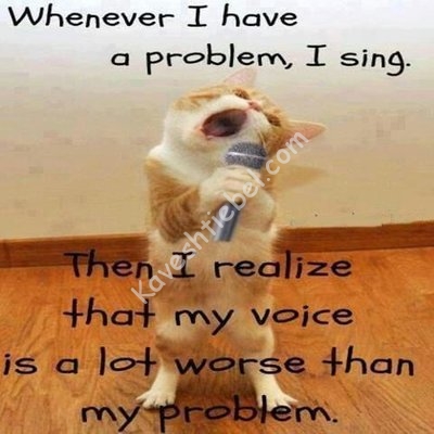 catschoir.jpg (35.25 KiB) געזען געווארן 2270 מאל catschoir.jpg